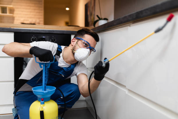 Best Termite Control Services  in Barboursville, WV