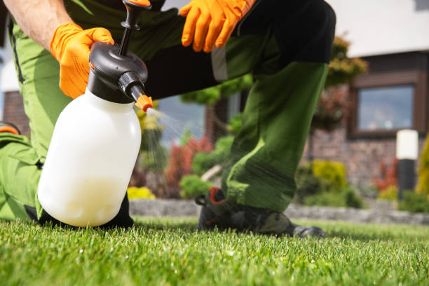 Best Wildlife Control Services  in Barboursville, WV