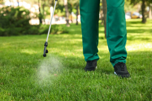 Best Insect Control  in Barboursville, WV