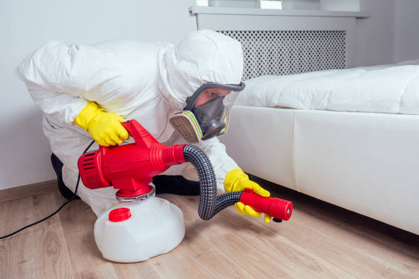 Best Flea Control Services  in Barboursville, WV