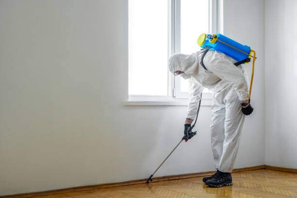 Best Best Pest Control Companies  in Barboursville, WV