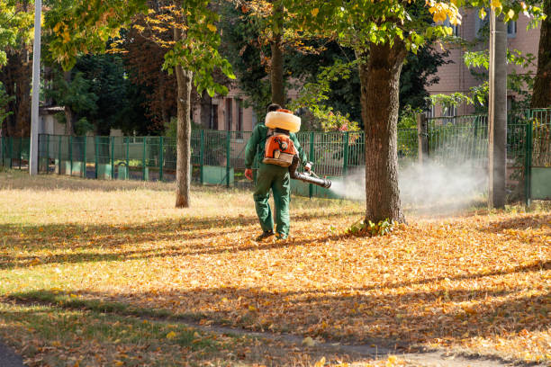Best Exterminator Services  in Barboursville, WV