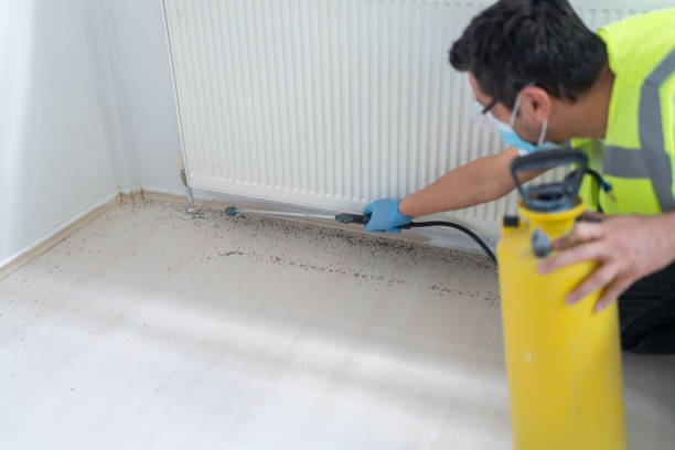 Professional Pest Control in Barboursville, WV