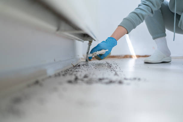 Best Residential Pest Control  in Barboursville, WV
